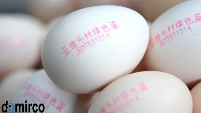 راه حل های علامت گذاری صنعتی برای چاپ تخم مرغ