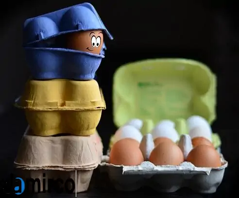 چرا تولید شانه تخم مرغ از مواد ضایعات یک ایده سودآور در کسب و کار است؟