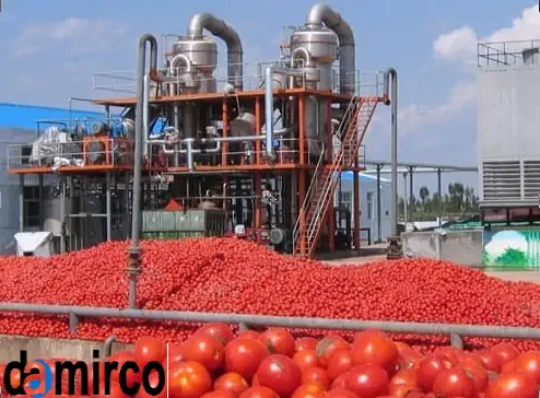 فرآیند خط تولید رب گوجه فرنگی صنعتی