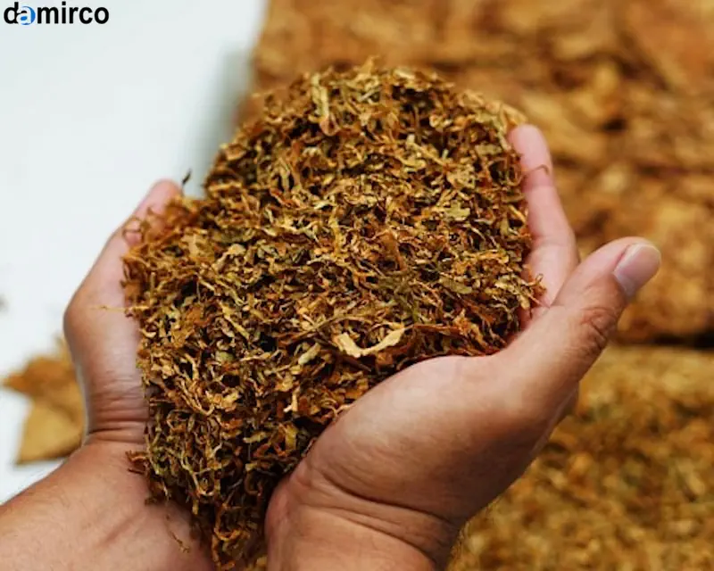 خط تولید تنباکو برای قلیان