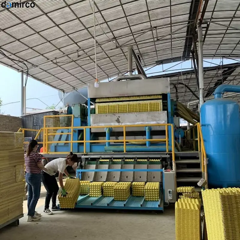 خط تولید شانه تخم مرغ در کارخانه