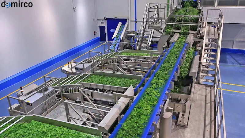 انتخاب تونل انجماد سریع برای ظرفیت های مختلف