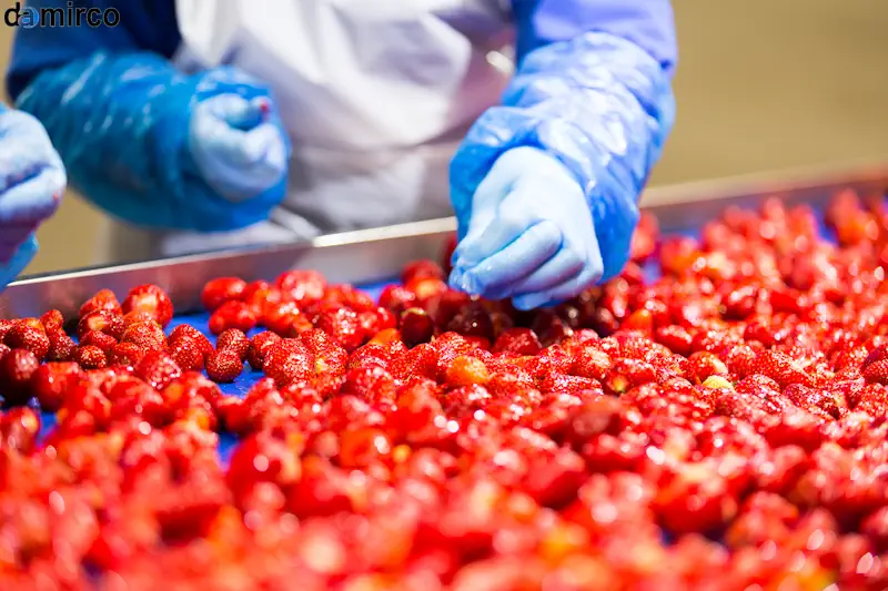 دستگاه انجماد سریع برای خط کنسرو