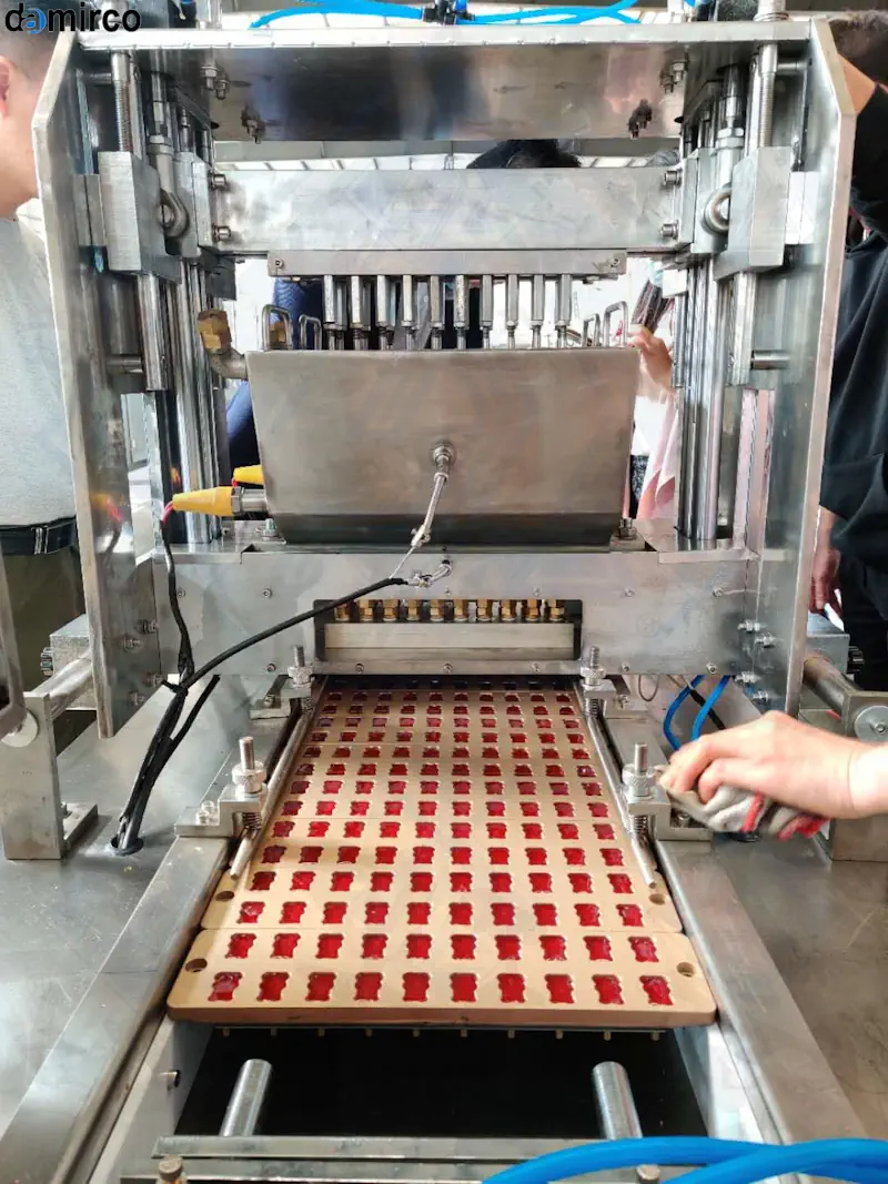 کارگاه تولید پاستیل با ماشین‌آلات صنعتی مدرن