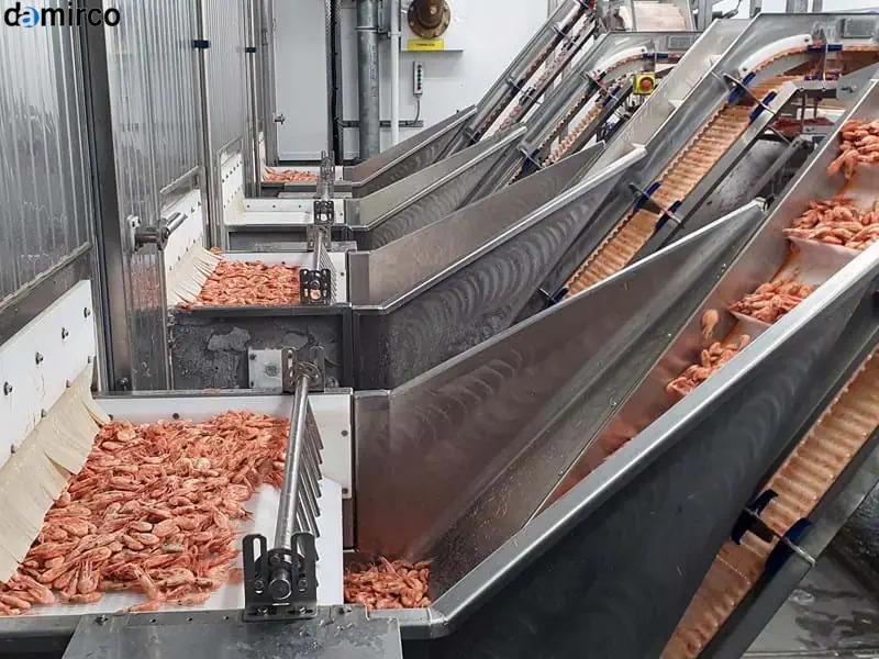 خرید دستگاه تونل انجماد iqf