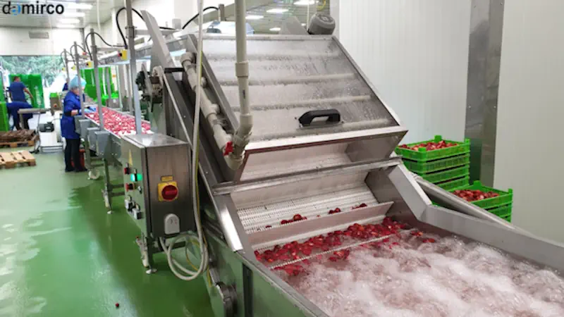 تفاوت فریزر معمولی و تونل انجماد سریع