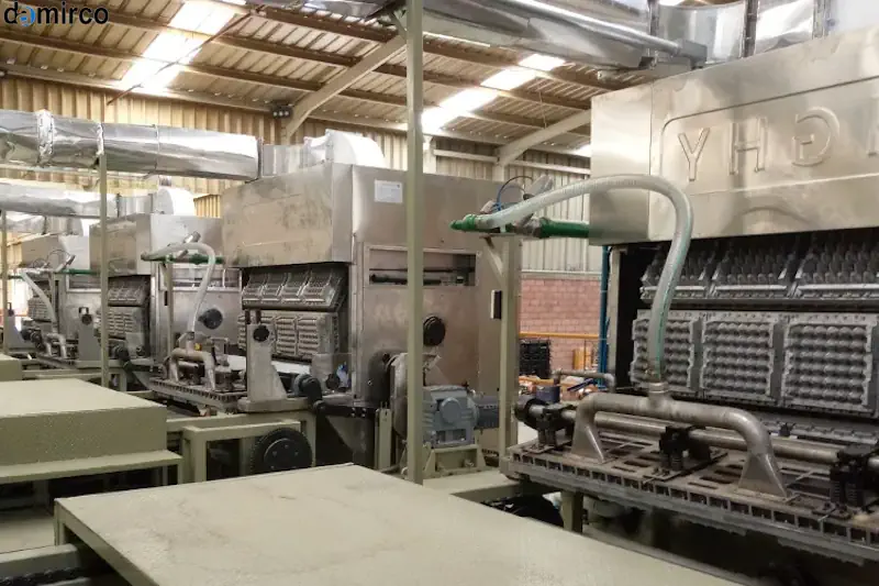 خط تولید کامل شانه تخم مرغ