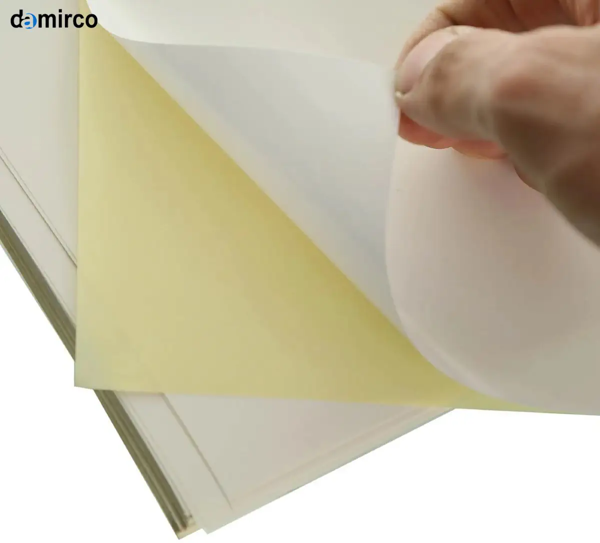 دستگاه لیبل زن پشت چسب دار برای ظروف