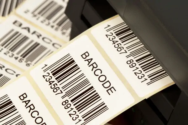 چند مدل مختلف از لیبل پرینترهای صنعتی و رومیزی زبرا در کنار یکدیگر برای بررسی و مقایسه