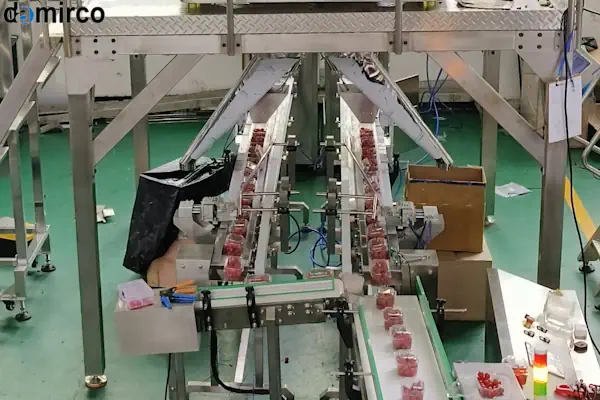 نمای نزدیک از پنل کنترل دستگاه بسته بندی توزین دار در حال تنظیم برای بسته بندی محصولات گرانولی