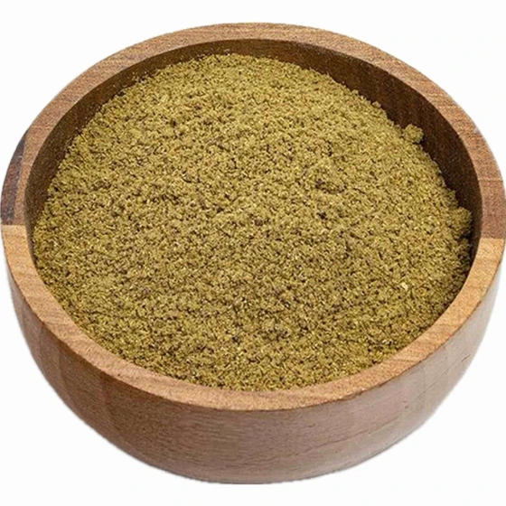 زرین پودر گرگان
