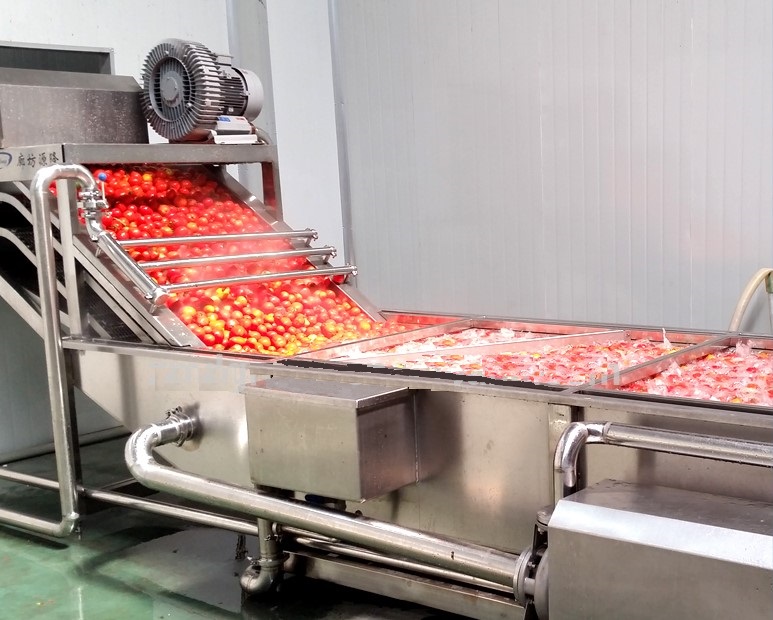 عکس خط تولید گوجه قسمت شستشو