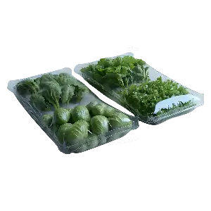 عکس میوه و صیفی جات