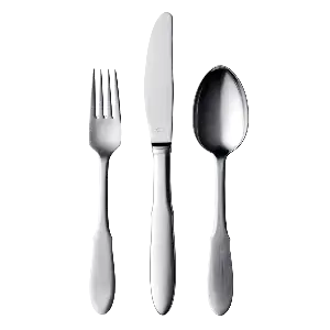 عکس قاشق و چنگال استیل