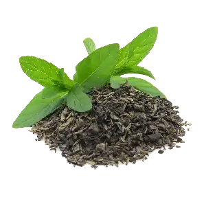 عکس چای سبز