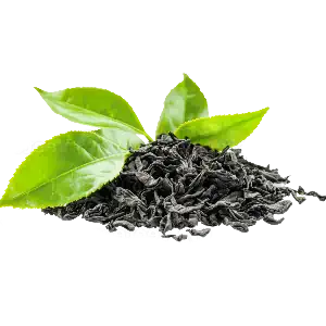 عکس چای سیاه