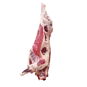 عکس گاو و گوسفند