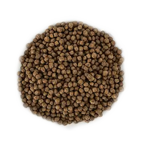 عکس غذای ماهی