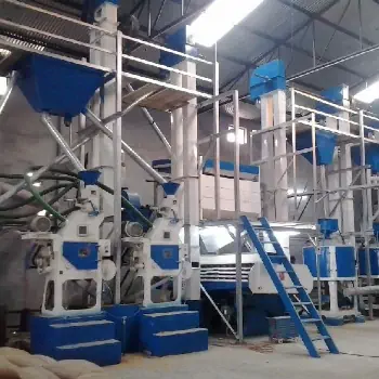 طرح توجیهی اولیه راه اندازی برنجکوبی