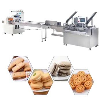 طرح توجیهی اولیه راه اندازی خط تولید بیسکوئیت در ایران