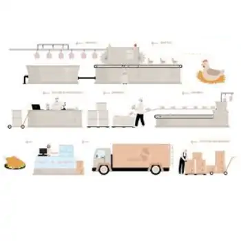 طرح توجیهی اولیه کشتارگاه مرغ