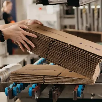 طرح توجیهی اولیه راه اندازی خط تولید کارتن در ایران