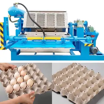 طرح توجیهی اولیه راه اندازی خط شانه تخم مرغ در ایران