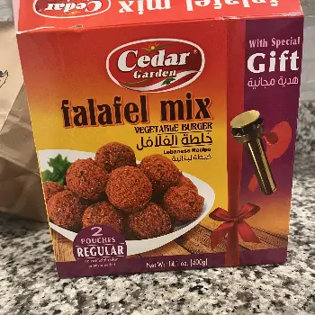 طرح توجیهی اولیه تولید فلافل صنعتی