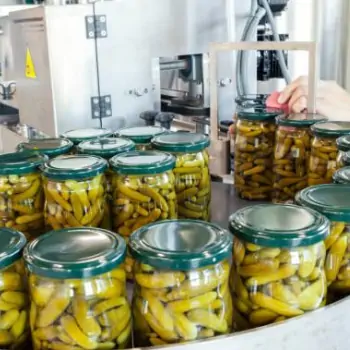 طرح توجیهی خط تولید خیارشور در ایران