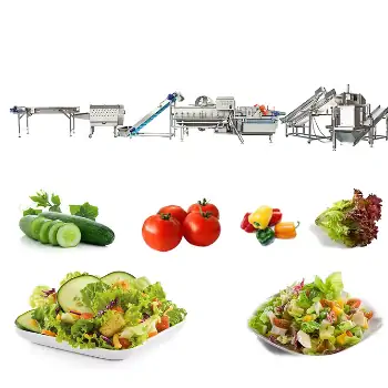 طرح توجیهی اولیه تولید و بسته بندی سالاد