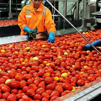 طرح توجیهی اولیه راه اندازی خط رب