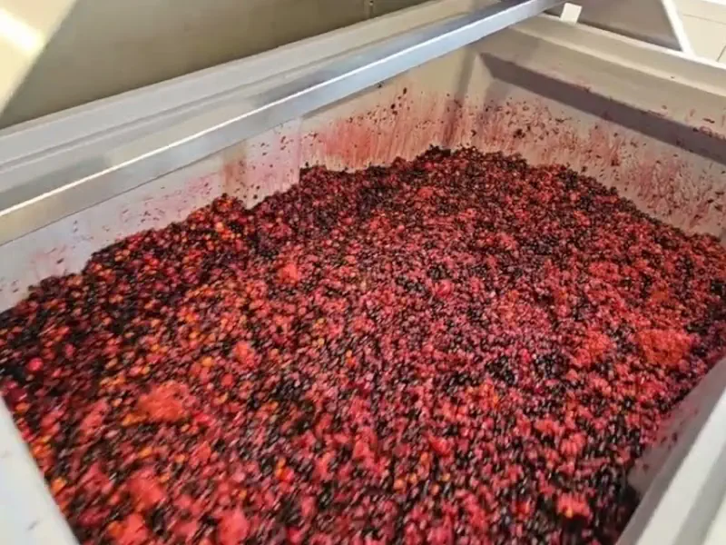 عکس پوره توت فرنگی در خط تولید پوره میوه