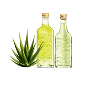 بشکه های عصاره آلوئه ورا با غلظت بالا مخصوص مصارف صنعتی