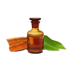 اسانس دارچین صنعتی، کاربردهای اسانس دارچین