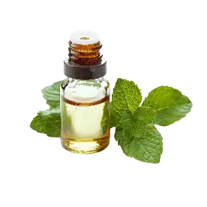 بطری اسانس نعنا خالص و برگ‌های تازه نعنا