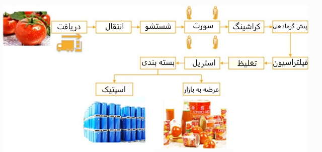 مراحل تولید رب در خط تولید رب گوجه فرنگی