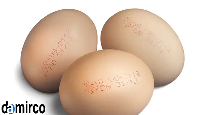 تخم مرغ مورد چاپ2