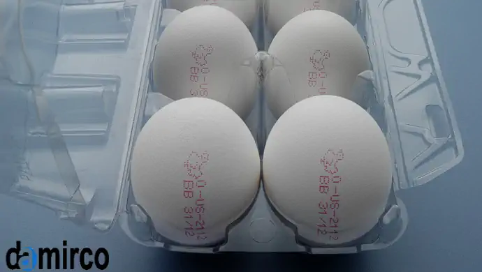 تخم مرغ مورد چاپ 3