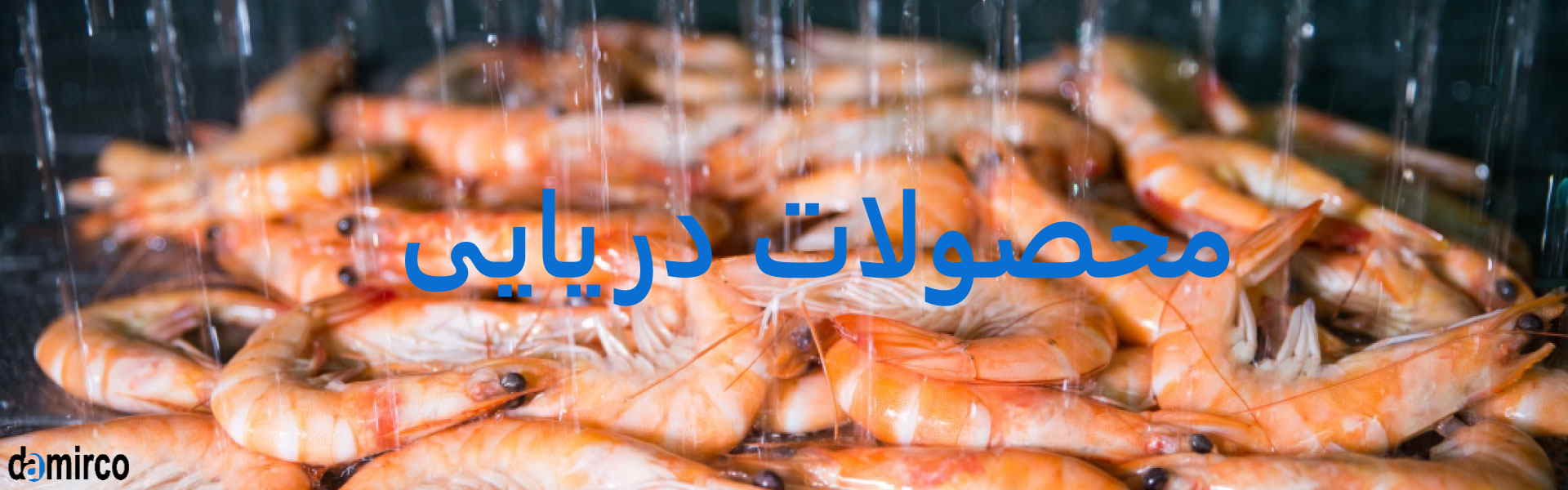 عکس میگو و غذای دریایی منجمد شده با انجماد سریع iqf