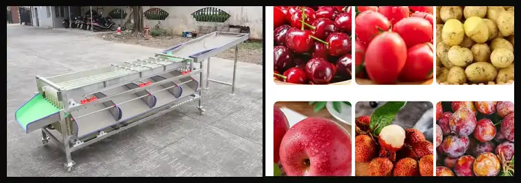 عکس دستگاه سورتینگ میوه به همراه گوجه و پرتقال و توت و توت فرنگی و سیب زمینی